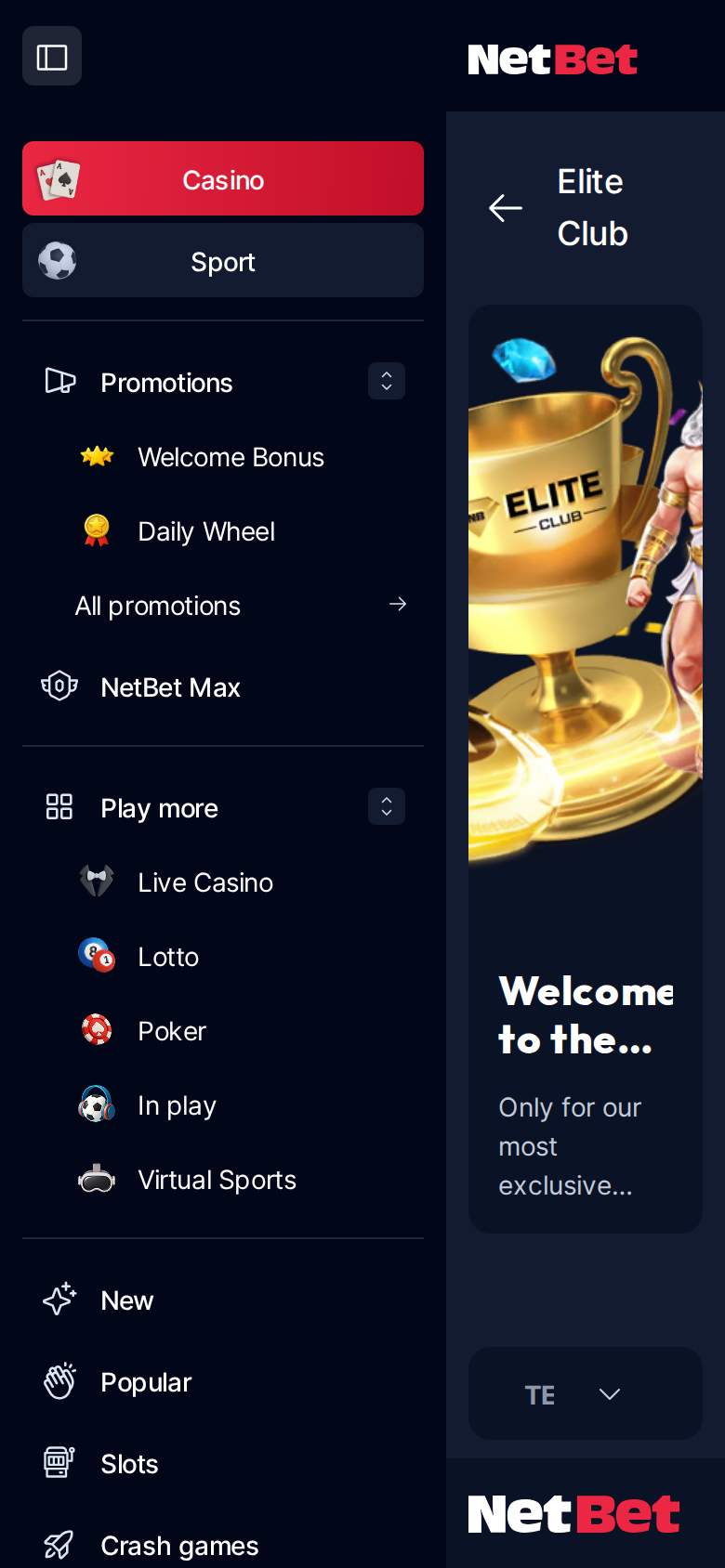 NetBet — promotions page